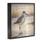 Stupell Industries Sunlit Sandpiper in Shallow Water Black Framed Giclee Art, design by Susan Arnot